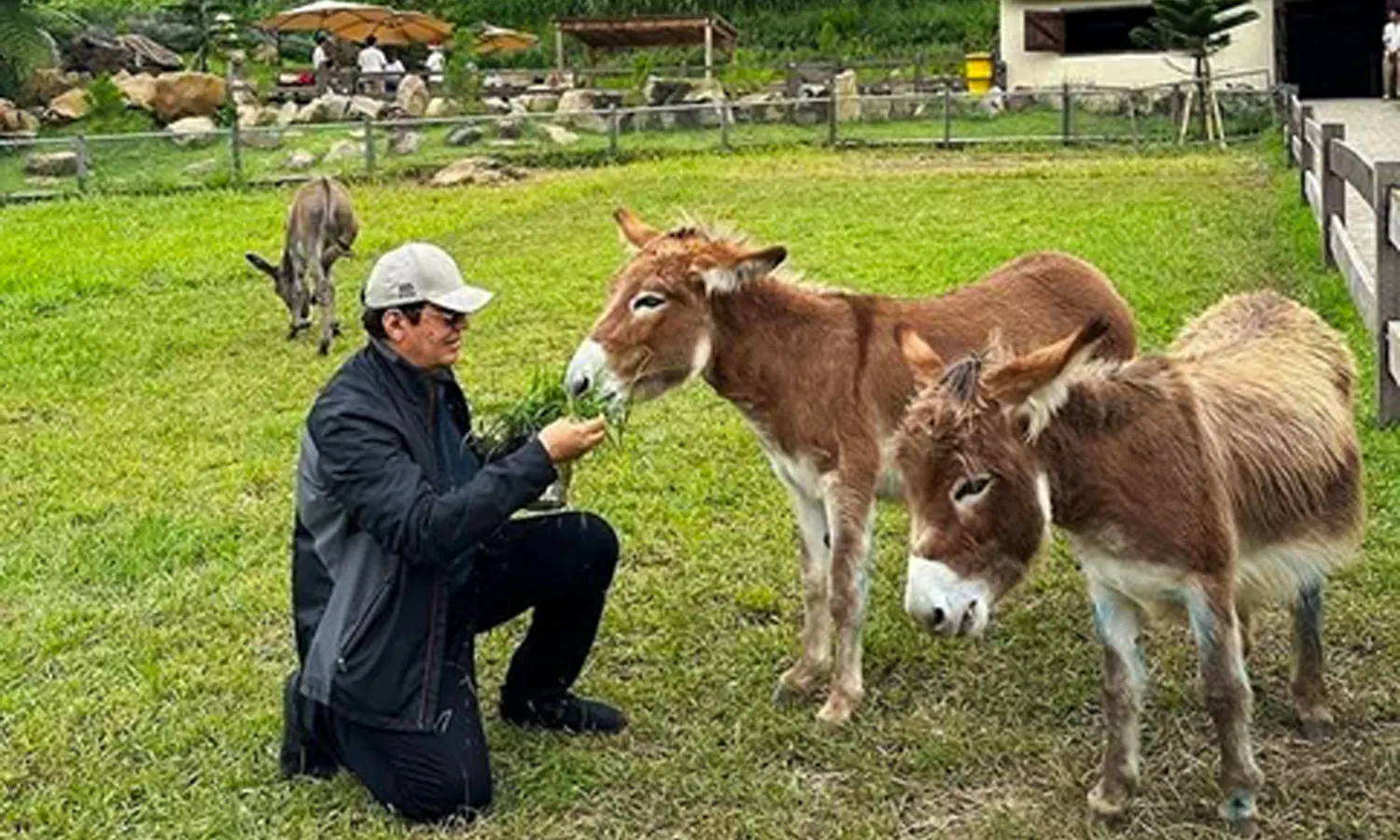 Siantar Zoo: Membesar di Tangan Rahmad Shah