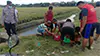 parboaboa