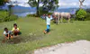 parboaboa
